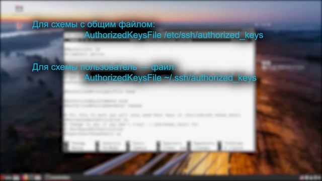 Работа с клиентом и сервером SSH смотреть онлайн