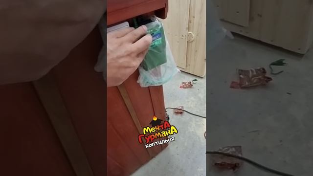 Коптильня Мечта Гурмана 2 СТАНДАРТ. г. Москва. Отзывы смотреть онлайн