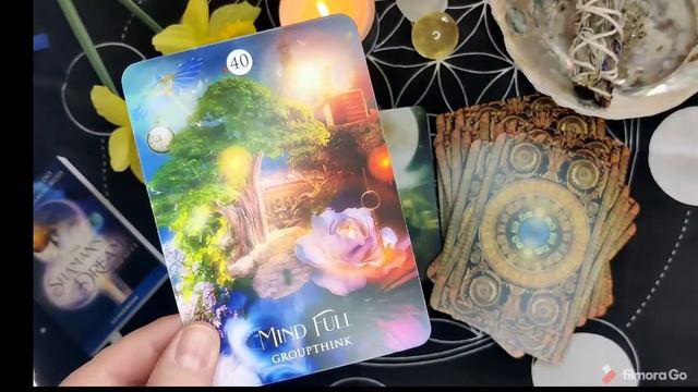 The Shaman's Dream Oracle Walkthrough & First Impressions смотреть онлайн