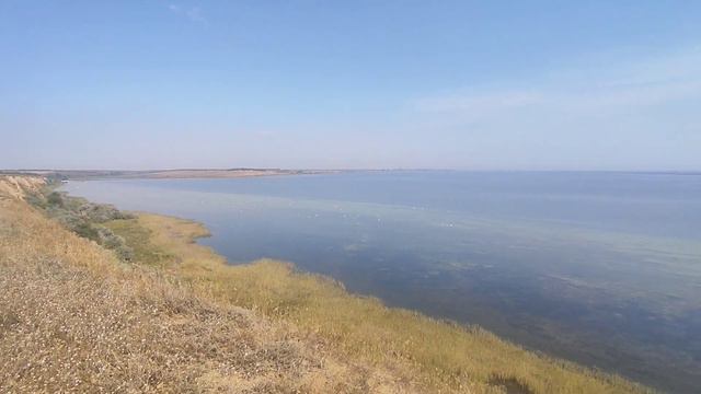 Участки для дома в Курортном смотреть онлайн