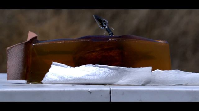Pump Action Gatling 440 fps Arrow Gun! Amazing. смотреть онлайн