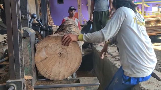 Woodworking, Sawing The Softest Large Logs Like Apples In Sawmill смотреть онлайн