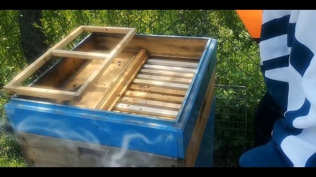 Рапс. Ставим магазины. смотреть онлайн