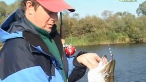 045 Троллинг с даунриггером, часть 2