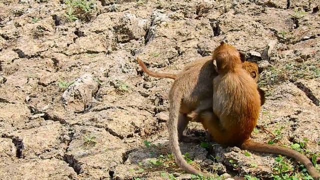 MG, Donny Doing Hard On Baby Maddix, Baby  Hugging Donny Strongly, Make Him Hard To Find Way