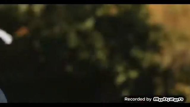 Котята ассасины 1 минутный фильм смотреть онлайн