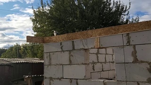 Выпуск! Серая Воронка  2. 08.09.22 г.