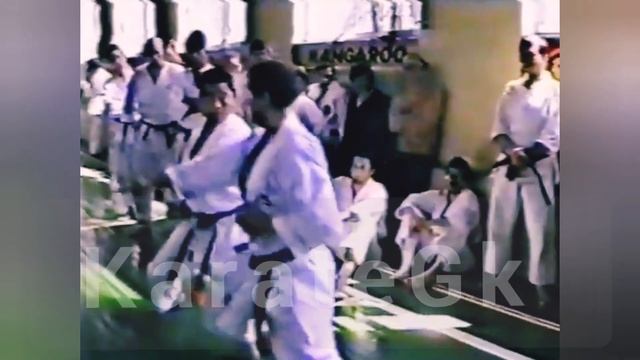 Toshiatsu Sasaki sensei explains important points from kata Nijushiho. Part 1. смотреть онлайн