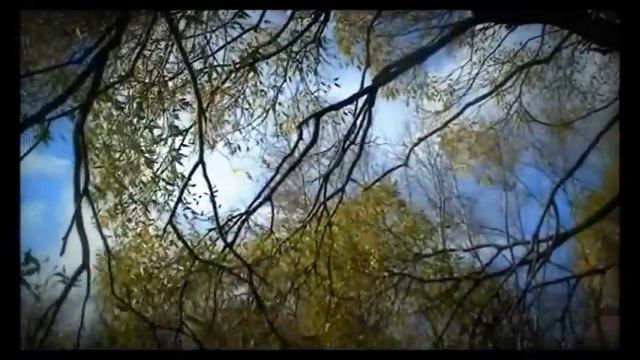 Осень 2012 в Екатеринбурге ) смотреть онлайн