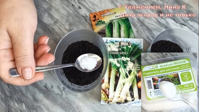 ЛУК ПОРЕЙ БЕЗ ПИКИРОВКИ! РАССАДА ЛУКА ПОРЕЯ! СПОСОБ ВЫРАЩИВАНИЯ ЛУКА ПОРЕЯ! ПОСЕВ В КИПЯТОК смотреть онлайн