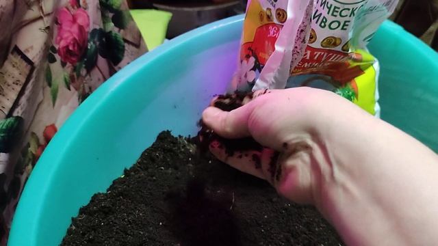 ГОТОВИМ ПИТАТЕЛЬНЫЙ ГРУНТ ДЛЯ РАССАЖИВАНИЯ ПЕРЧИКА ! смотреть онлайн