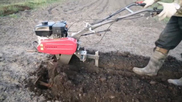 Культивация огорода гусиными лапками Weima WM900M-3 смотреть онлайн