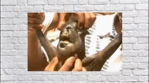 Животные с человеческим лицом - 5 самых ярких представителей