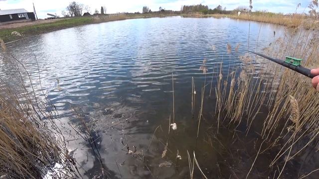Весенняя рыбалка на пруду! Разнообразие рыбы радует! смотреть онлайн