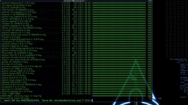 BlackArch Linux Update - Solving The Errors When Installing Arch Packages Upgrade смотреть онлайн
