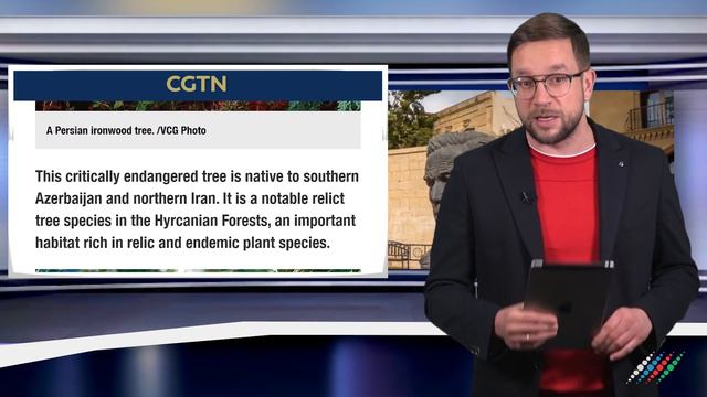 Самые яркие мировые новости об Азербайджане 2019 года. В фокусе смотреть онлайн