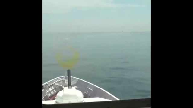 Гоша Куценко: 