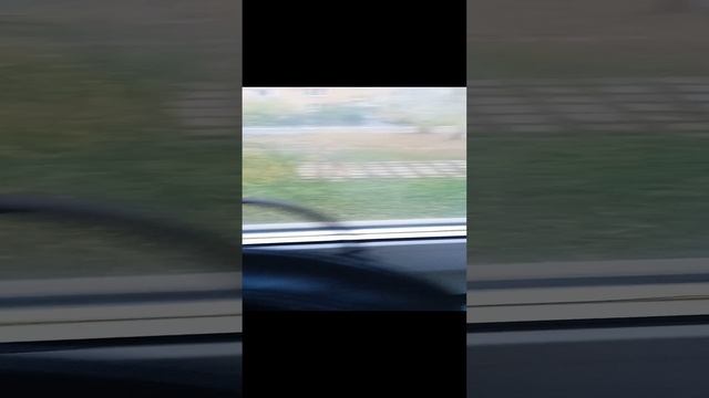 что нужно басику в школу