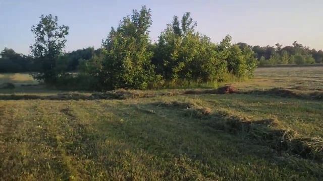 Сгребание сена. Сенокос 2022.