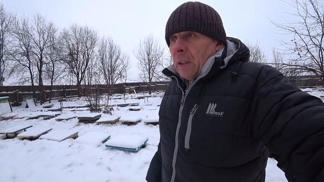 БОРЬБА С ГРЫЗУНАМИ ВО ВРЕМЯ ЗИМОВКИ НАШИХ ПЧЁЛ, МЫШИ, ЗИМОВКА ПЧЁЛ НАЧАЛАСЬ. смотреть онлайн