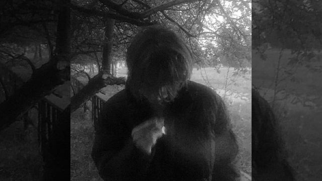 Xcho - Вера (Slowed-Bass Boosted) смотреть онлайн