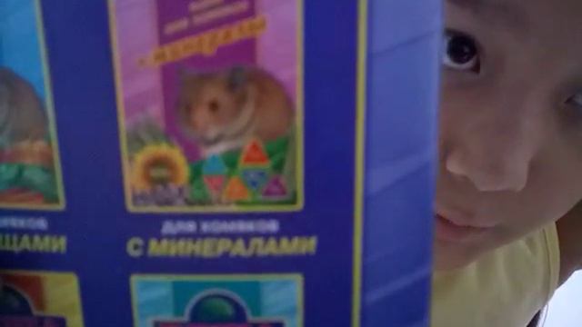 Что нужно для появления хомячка в доме. Первое видео.Смотри описание смотреть онлайн