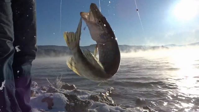 Ловля щуки в лютый мороз.2018. смотреть онлайн