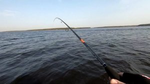 Спиннинг Narval Argument - первый тест на воде, Иваньковское водохранилище
