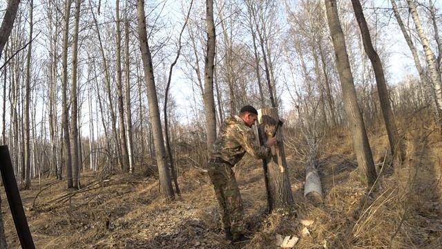 делаю солонец лосям, косулям и зайцам. смотреть онлайн