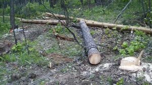 самодельная мотолебедка в работе