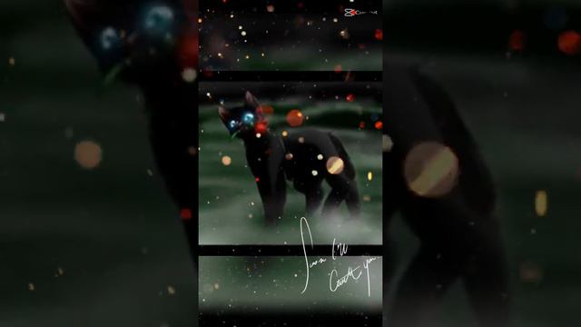 Эйдит Грач/Коты Воители/Warrior Cats смотреть онлайн