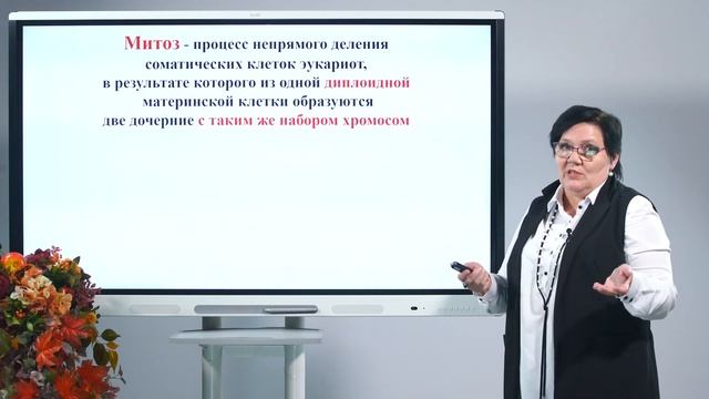 10 класс. Биология. Деление клеток смотреть онлайн