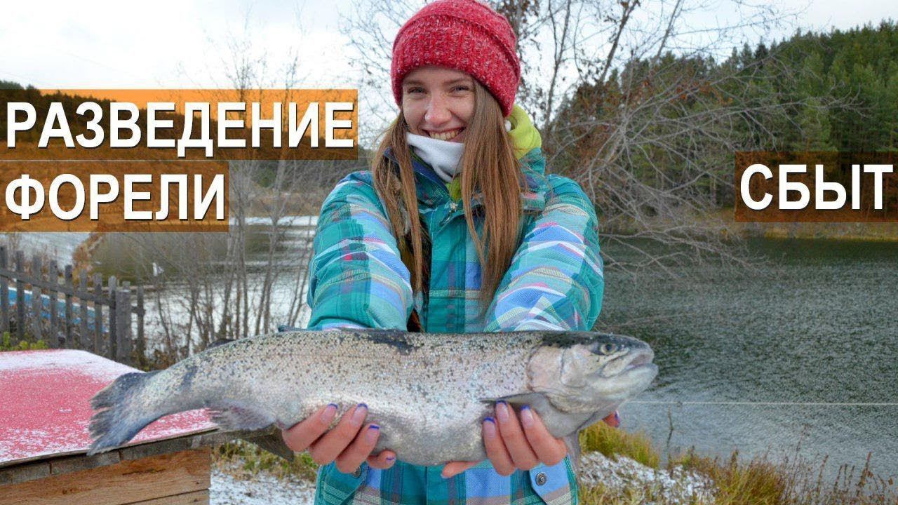 Фермерская форель РыбаLove. Выращивание и сбыт форели. Форель на гриле смотреть онлайн