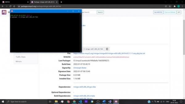 Include c/cpp third party libraries in Vscode(windows) Msys2-Gcc