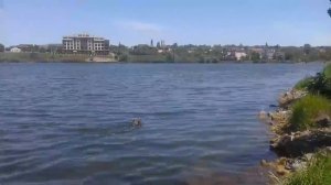 Кальмиус Донецк 09.06.2020