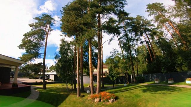 Учим триппи спин смотреть онлайн