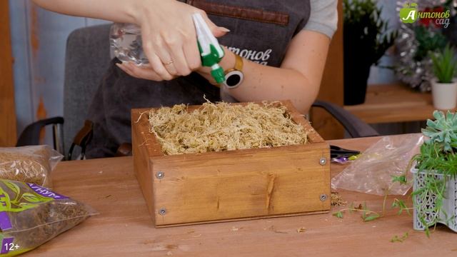 Суккуленты. Панно своими руками смотреть онлайн