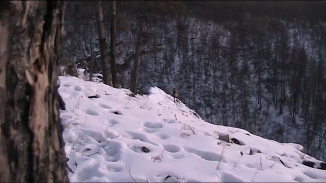 MOV00F.MOD Изюбрь на отстое смотреть онлайн