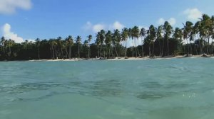 Доминикана 2021