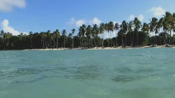 Доминикана 2021