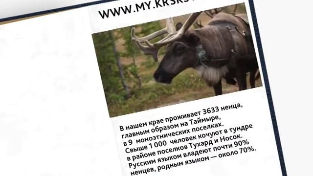 Телеэнциклопедия. Сказка о белом и буром медведе смотреть онлайн