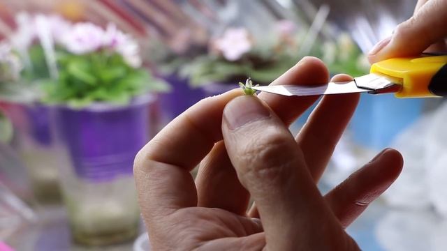 У меня ЧЕЛЮСТЬ ОТВИСЛА когда Я ЭТО УВИДЕЛ. У меня произошло НАСТОЯЩЕЕ ЧУДО! Обязательно ПОСМОТРИ! смотреть онлайн