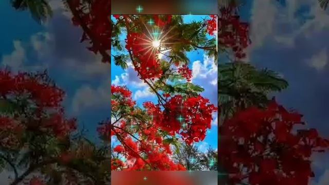 МУДРОСТЬ ДНЯ. ? Слова со смыслом. ? Мудрые слова. ? Правда. смотреть онлайн