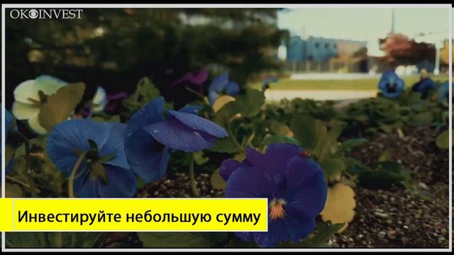 Как не бояться инвестировать? смотреть онлайн