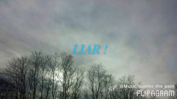 Molly - Mindless Self Indulgence lyrics