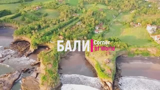 БАЛИ - Земля Богов! Райский уголок! #Бали #Bali #Курорт #Отдых #Travel #ASMR #travel смотреть онлайн