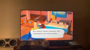 [animal crossing ] на Nintendo Switch с Никой