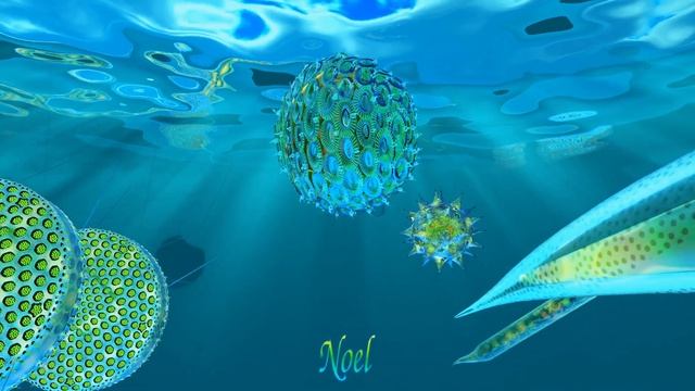 Ocean Plankton Diatoms, Coccolithophores, Dinoflagellate and Radiolarian смотреть онлайн