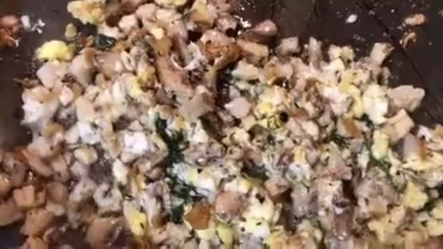 Wild Yarrow and Wild Lactarius and a Wild Coral Mushroom and an egg for lunch смотреть онлайн