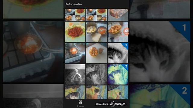 Как сделать чтоб все фотки были в одной фотографии смотреть онлайн